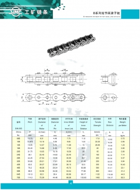 吉林B系列精密滾子鏈